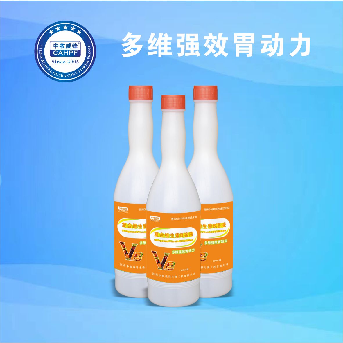 多维强效胃动力（复合维生素B溶液）